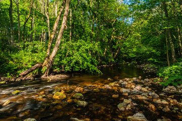 River Burn in Yorkshire