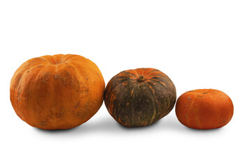 Three colorful pumpkins of different sizes on a white background