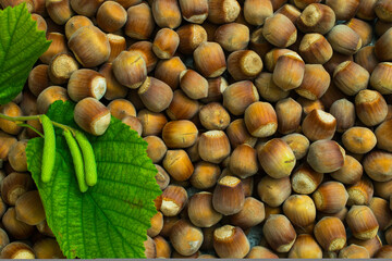 hazelnuts with green leaf lying on a horizontal surface, shot from above