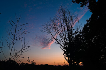 Źdźbła trawy podczas zachodu jesiennego słońca © Marcin