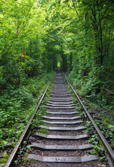 Love Tunnel (Railway section located in forest near Klevan, Ukraine. So named because before by this way girls from a nearby village and soldiers from a former military unit went on a dates).