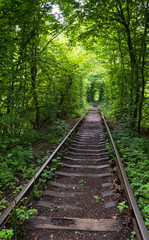 Love Tunnel (Railway section located in forest near Klevan, Ukraine. So named because before by this way girls from a nearby village and soldiers from a former military unit went on a dates).