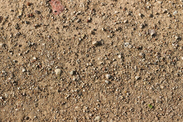 Dirt road background texture, outdoor texture. Backdrop for various ideas.