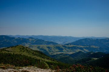 Obraz premium Morning sunny day is in mountain landscape. Carpathian, Ukraine, Europe. Beauty world. Large resolution