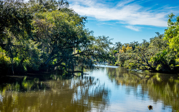 St Lucie River 1