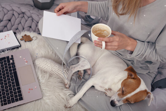 DIY Craft Project and for New, Year, Christmas or Birthdays. Cozy style weared woman watching how-to guide on laptop