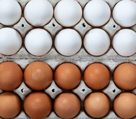 Close-up view of raw chicken eggs in egg box on white wooden background