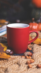 Obraz na płótnie Canvas Red mug with tea on the background of a soft, knitted scarf, autumn leaves, pumpkin. Autumn background, cozy evening, fireplace. 
