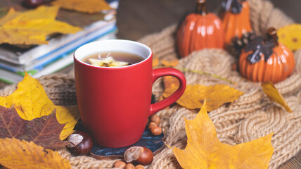 Red mug with tea on the background of a soft, knitted scarf, autumn leaves, pumpkin. Autumn background, cozy evening, fireplace.
