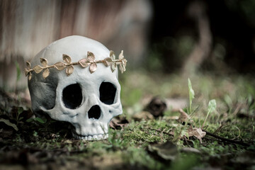 King Queen Skull Crown © Ezume Images