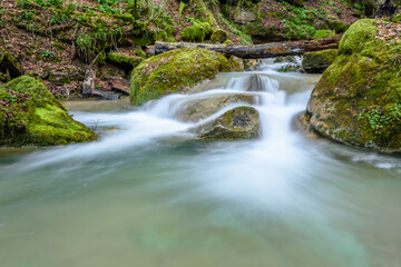 Creek of water in the woods.