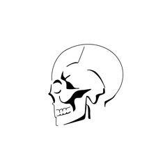 skull isolated on white background 