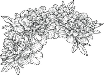 Hand drawn flowers.  Peonies vector image. Tattoo minimalism flowers