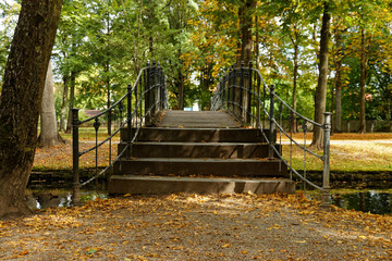 autumn in the park