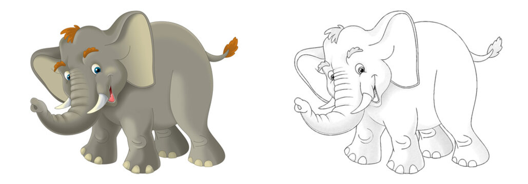 cartoon scene with elephant on white background - illustration