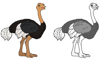 cartoon scene with ostrich bird on white background - illustration