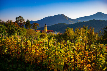 vineyard with mountains and sky