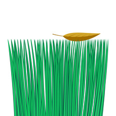green grass seamless border, isolated over white, illustration