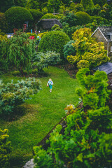 japanese garden in the morning