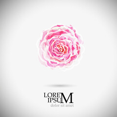 Decorative watercolor isolated flower for your design. Rose object. Vector illustration