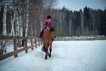 Little girl jockey is riding a brown horse in winter open manege. Girl horse rider gallops on a...