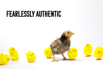 Fearlessly Authentic text, be authentic, believe in yourself leadership, concept, a defiant real...