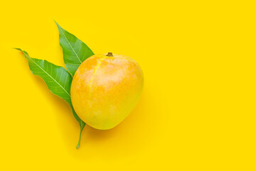 Tropical fruit, Mango on yellow background.