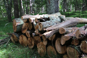 A stack of wood ready to burn during the winter months