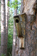 A rustic bird house in the forest