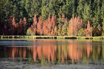 Autumn Colors Reflected on Lake