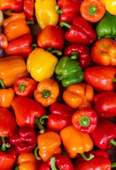 red, green and yellow peppers filling the photo