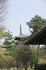 Naklejka premium 二和寺の五重塔