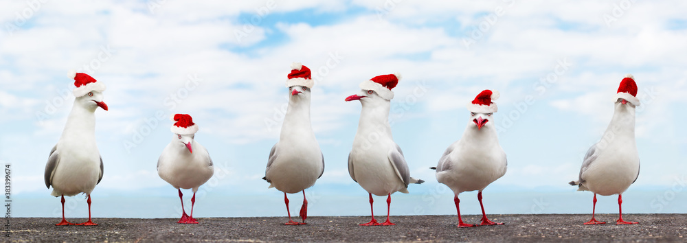 Wall mural White Seagulls in red christmas hats funny xmas banner