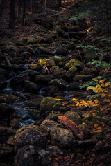 A brook in New England