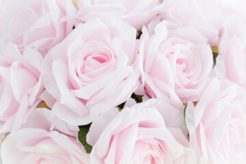 Pink rose flowers bouquet close up.