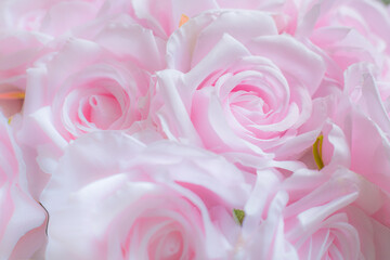 Fabric pale pink roses with blurred  background.