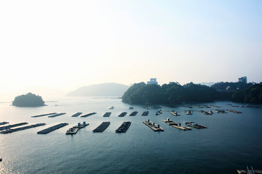 鳥羽の海