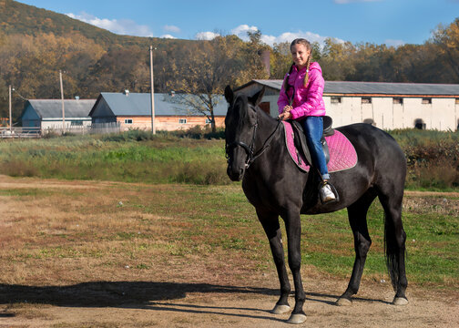 A young girl sits on a horse and rides a black horse on a Sunny day.Photos of different horses.