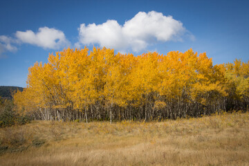 Fototapeta premium Landscape scenes with beautiful views