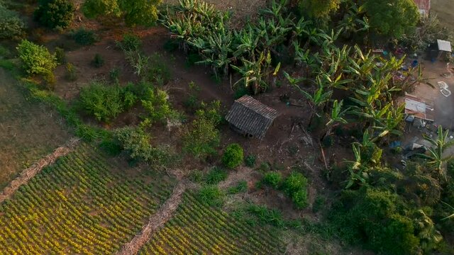 Aerial view of a tipical rural house in Honduras, made with clay and adobe.