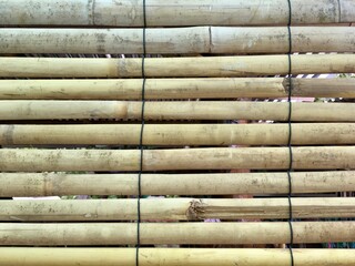 Obraz premium stack of wood