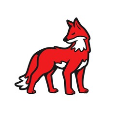 red fox standing. animal illustration vector