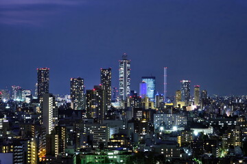 Fototapeta na wymiar Night view of Ikebukuro, Tokyo Japan
