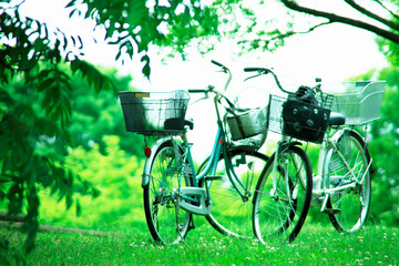 Fototapeta premium 草原と自転車