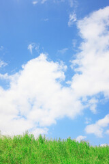 Obraz na płótnie Canvas 草原と青い空