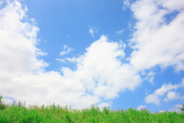 草原と青い空