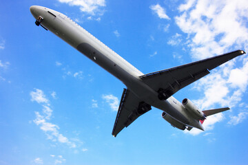 飛行機