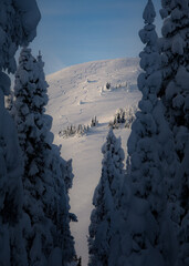 Winter ski adventures in British Columbia Canada