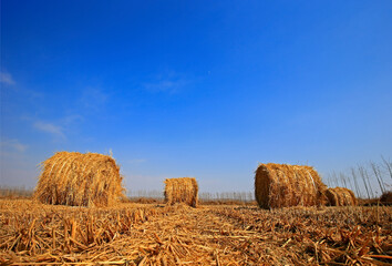 Dry straw under the blue sky