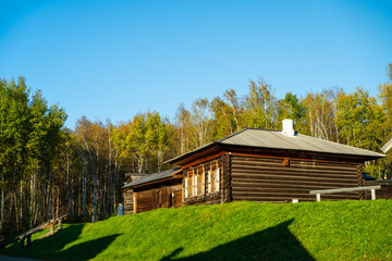 Fototapeta premium Wooden building on the background of a birch grove.